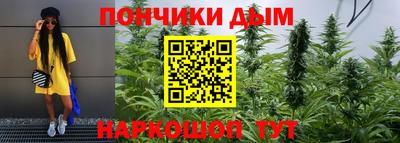 стаф Нальчик