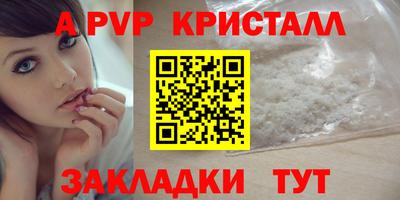 стаф Нальчик