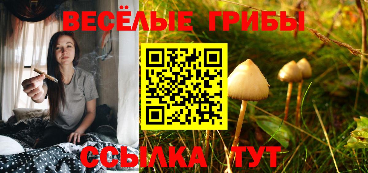 Псилоцибиновые грибы MAGIC MUSHROOMS Сухой Лог